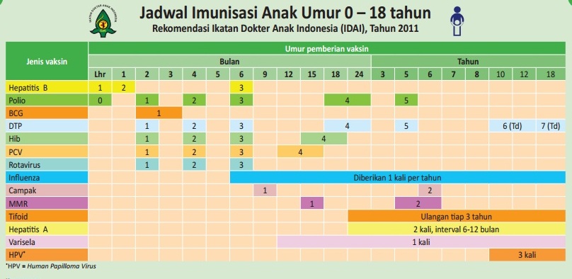 Jadwal Imunisasi Bayi / Anak Lengkap (0-18 Tahun) & Jenisnya - Jatik.com